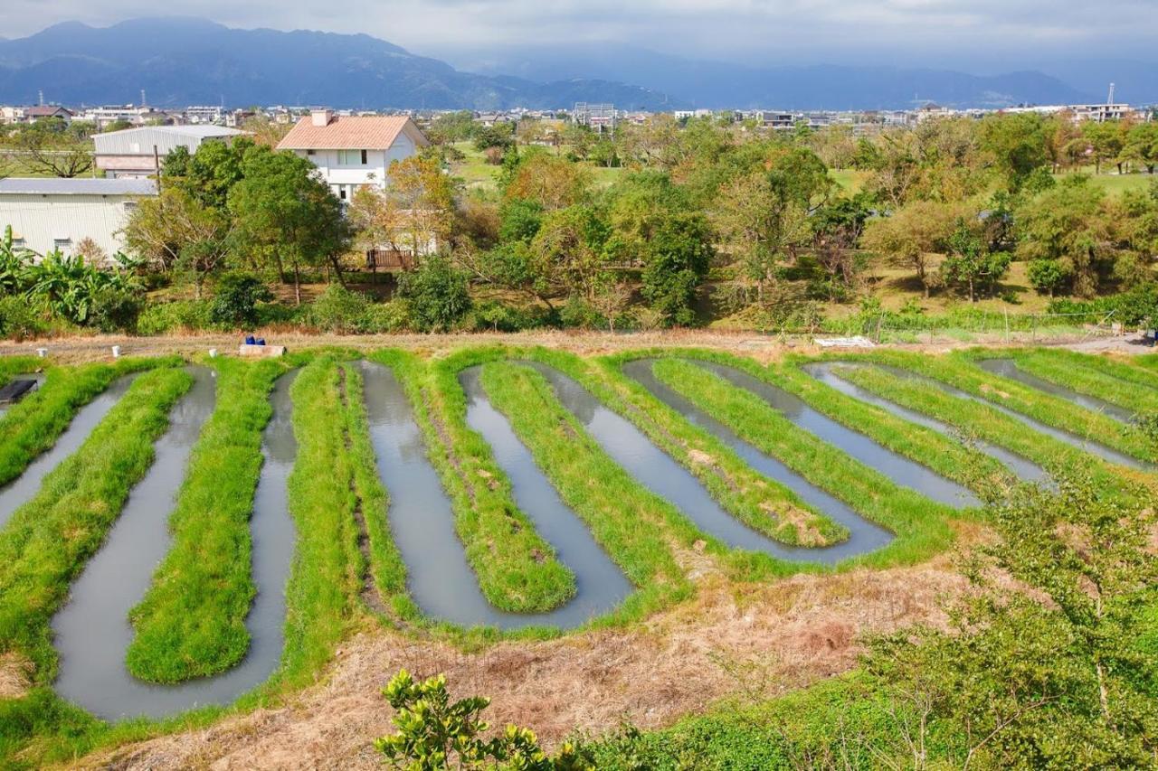 Fish House 宜蘭獨棟別墅 戲水池 生態diy 安農溪自行車 Lägenhet Dongshan  Exteriör bild